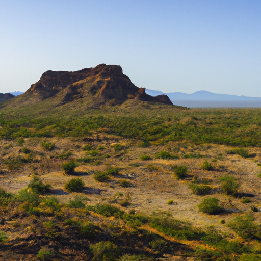 Ajo, Arizona