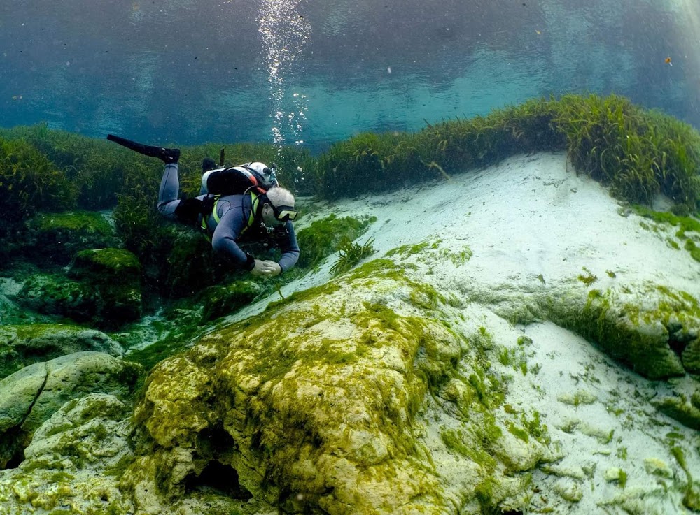 Neptune’s Splendor Scuba LLC
