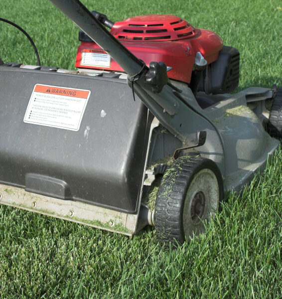 Meier’s Landscape Maintenance
